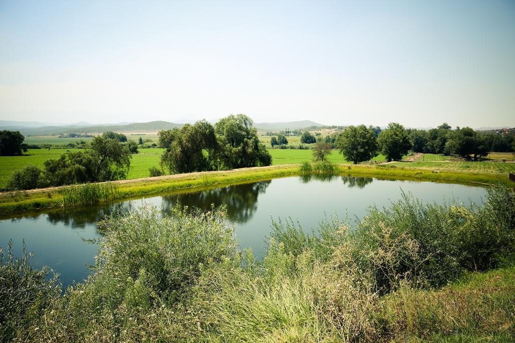 Surval Boutique Olive Estate Villa Oudtshoorn Ngoại thất bức ảnh