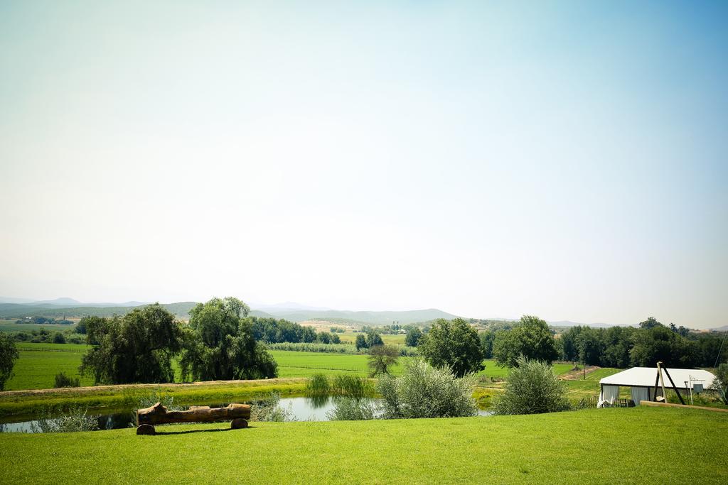 Surval Boutique Olive Estate Villa Oudtshoorn Ngoại thất bức ảnh