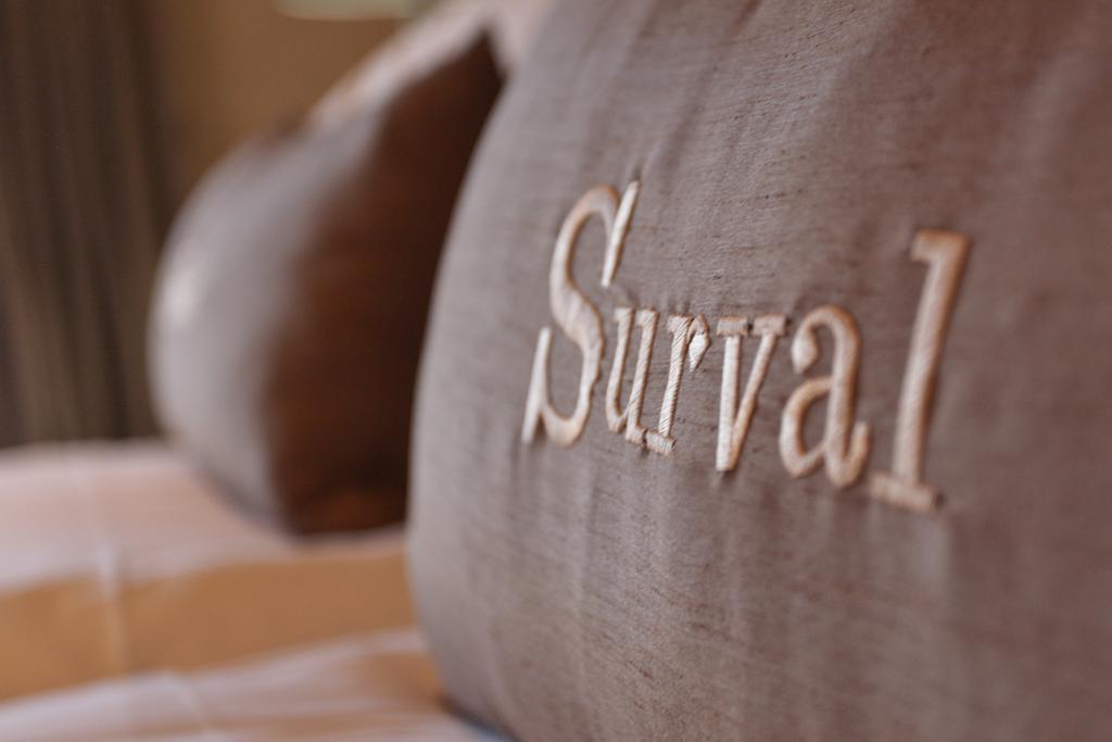 Surval Boutique Olive Estate Villa Oudtshoorn Ngoại thất bức ảnh