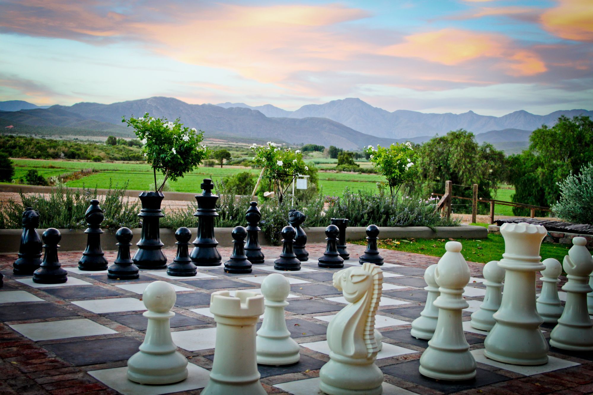 Surval Boutique Olive Estate Villa Oudtshoorn Ngoại thất bức ảnh