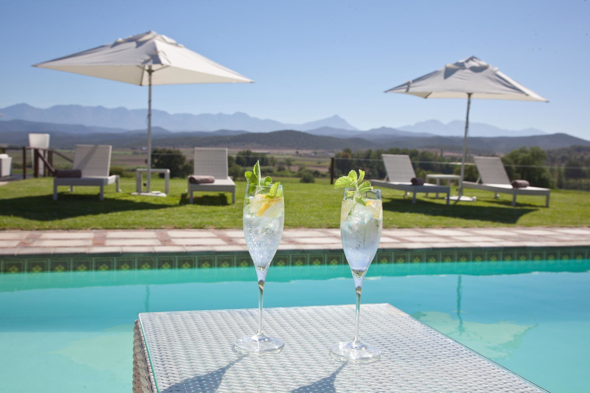 Surval Boutique Olive Estate Villa Oudtshoorn Ngoại thất bức ảnh